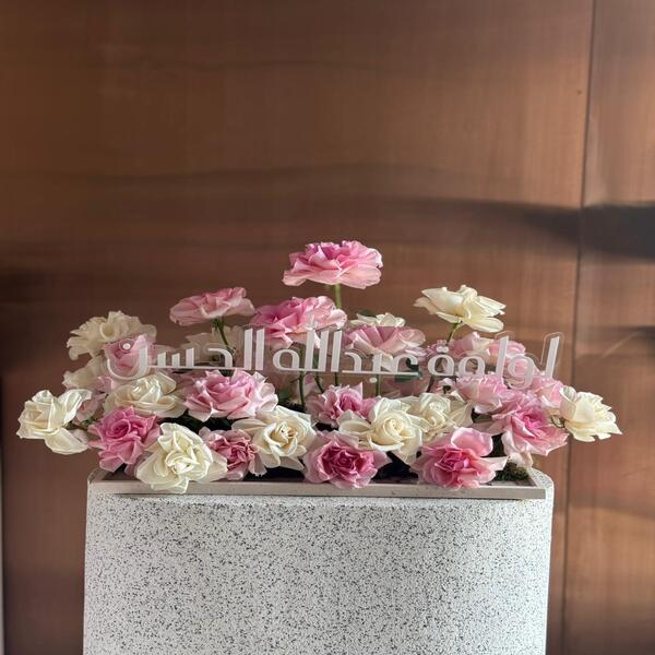 5699c7d4_WhatsApp Image 2026-04-23 at 6.52.28 PM (1).jpeg